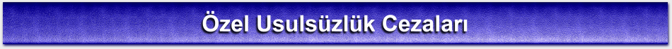 Özel usulsüzlük cezaları