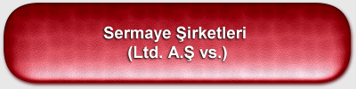 sermaye irketleri